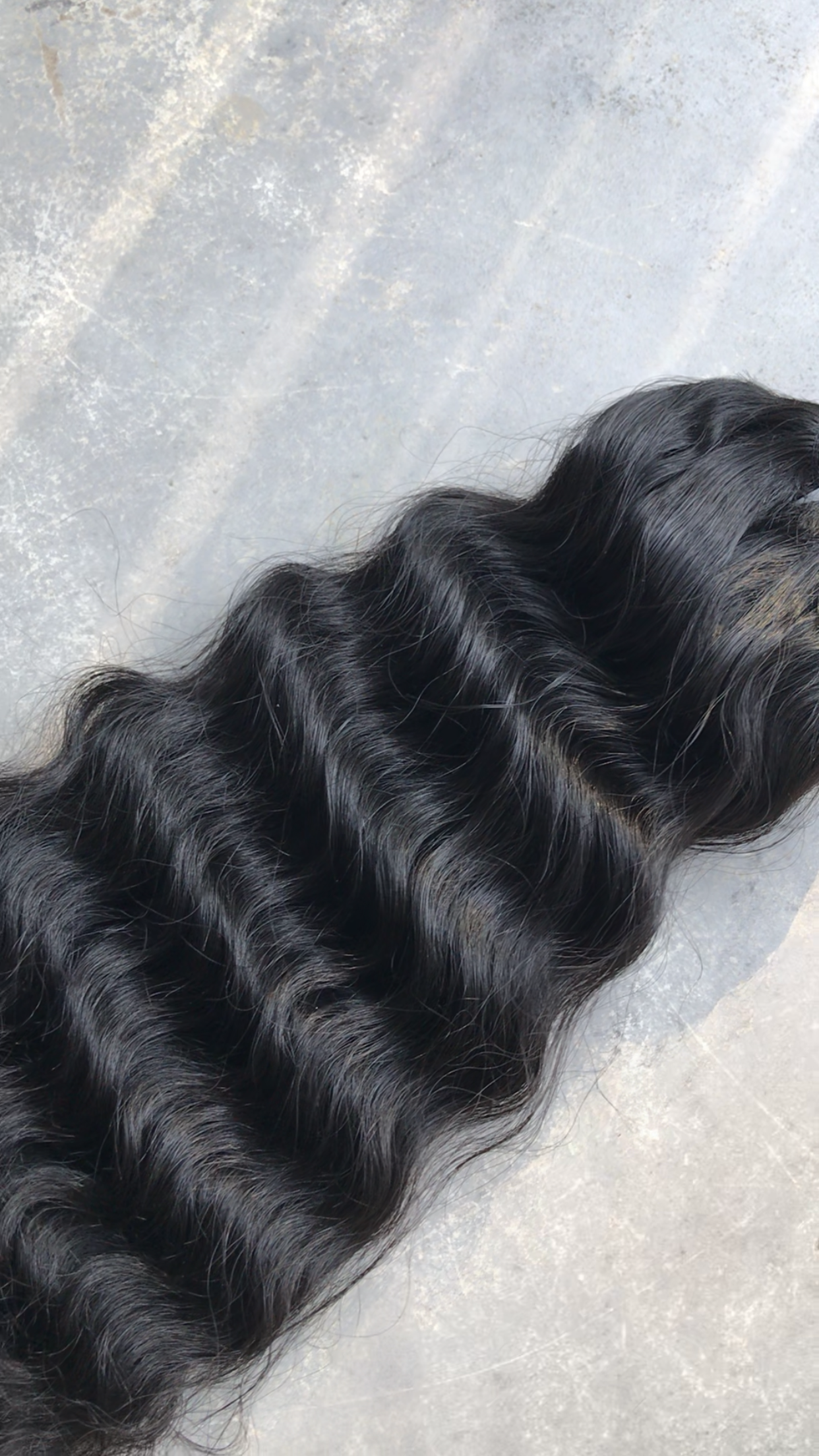 Raw Indian Curly – Single Donor Bundle